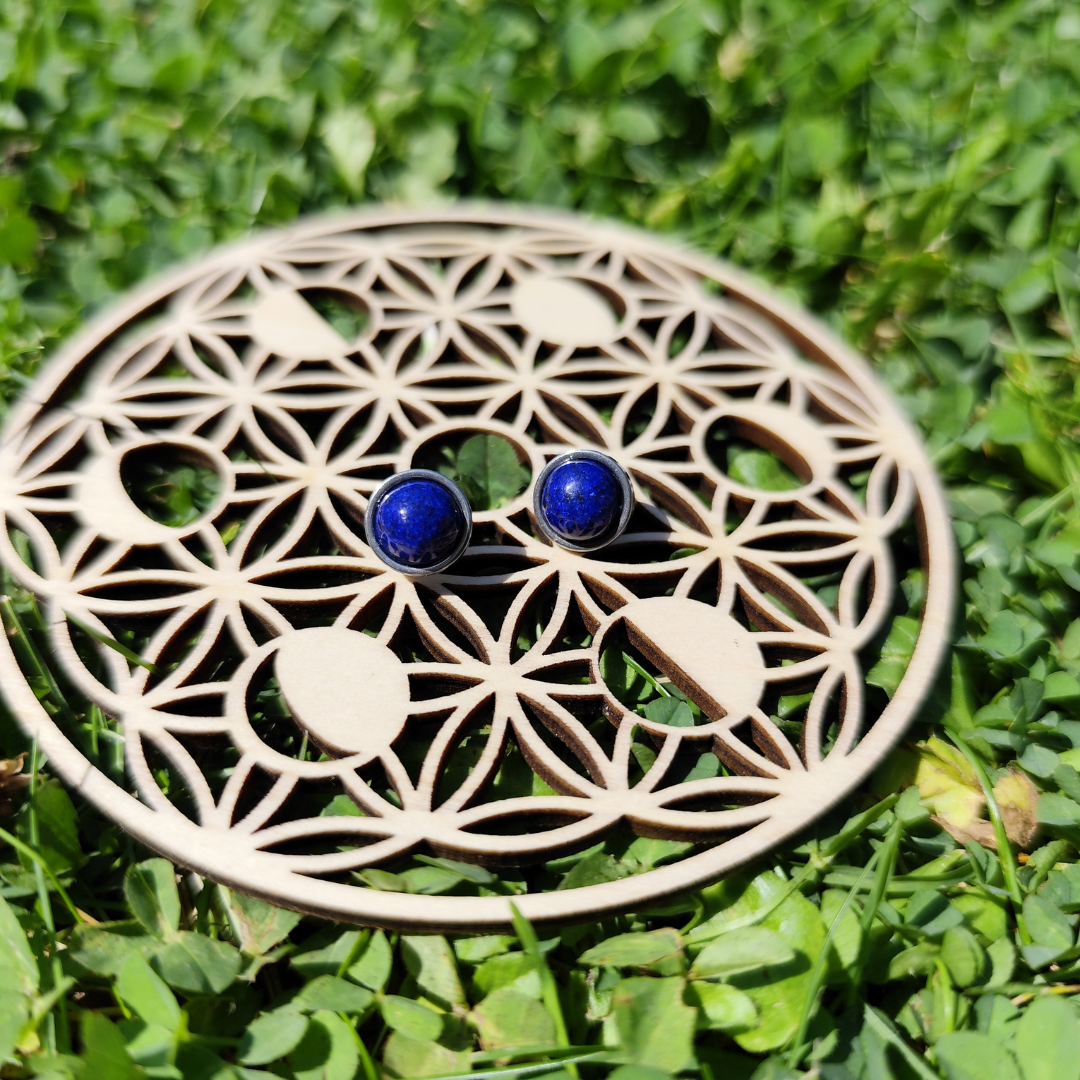 Boucles d'Oreilles Ronde en Acier Inoxydable Lapis Lazuli